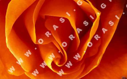 Θέματα Ημερολογίων - Διάφορα - Κωδικός:21170 - 