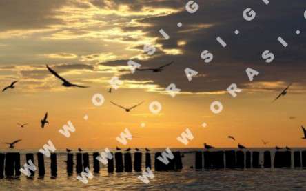 Θέματα Ημερολογίων - Διάφορα - Κωδικός:21179 - 