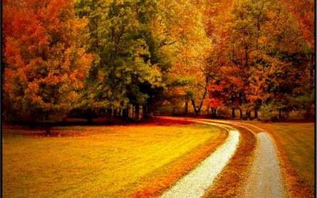 Θέματα Ημερολογίων - Εποχές - Κωδικός:21669 - 