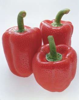 Θέματα Ημερολογίων - Φαγητό - Κωδικός:20129 - 