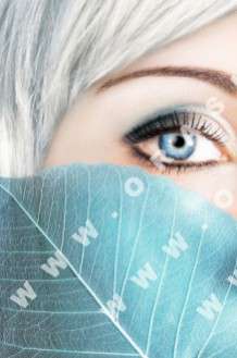 Θέματα Ημερολογίων - Ομορφιά - Κωδικός:19585 - 