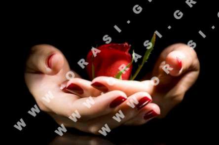 Θέματα Ημερολογίων - Ομορφιά - Κωδικός:19589 - 