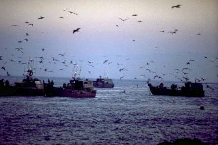 Θέματα Ημερολογίων - Σκάφη και θάλασσα - Κωδικός:20817 - 