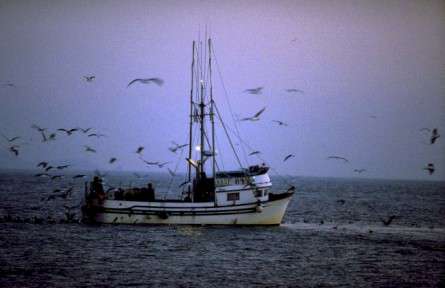 Θέματα Ημερολογίων - Σκάφη και θάλασσα - Κωδικός:20819 - 