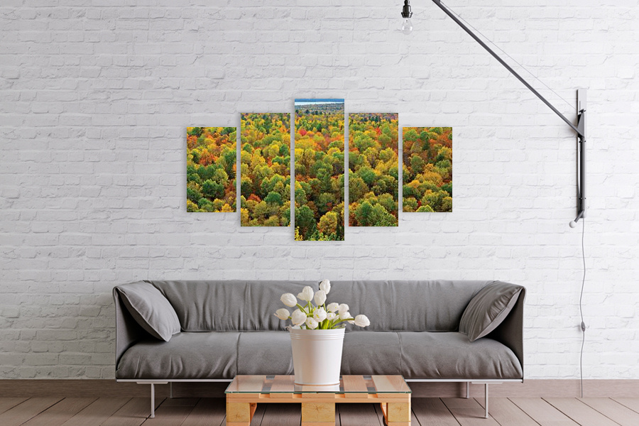 Πίνακας σε καμβά για χώρο που μπορεί να προορίζεται, τοπίο δάσους, με φυσικό και μοντέρνο στυλ διακόσμησης.