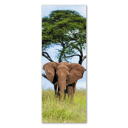 Υφασμάτινο αυτοκόλλητο ψυγείου που απεικονίζει έναν ελέφαντα.Είναι ανθεκτικό και κολλάει και ξεκολλάει εύκολα.Μπορείτε να μας ζητήσετε να εκτυπωθεί σε όποιες διαστάσεις θέλετε. Το θέμα προσαρμόζεται αναλογικά στις διαστάσεις που θέλετε.Το παράδειγμα που παρουσιάζουμε στην απομονωμένη εικόνα του θέματος αφορά ψυγείο με διαστάσεις 75cm πλάτος x 200cm ύψος.