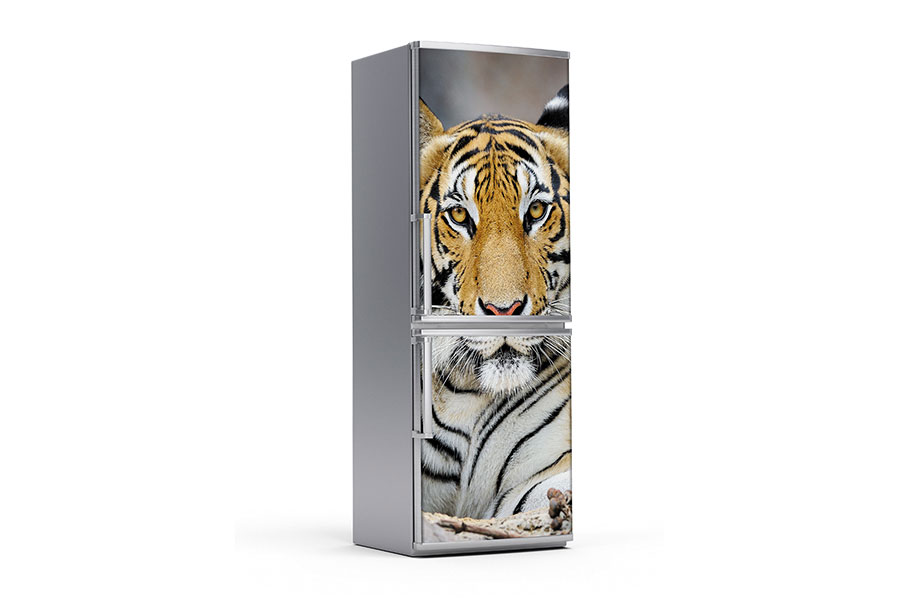 Αυτοκόλλητο ψυγείου 