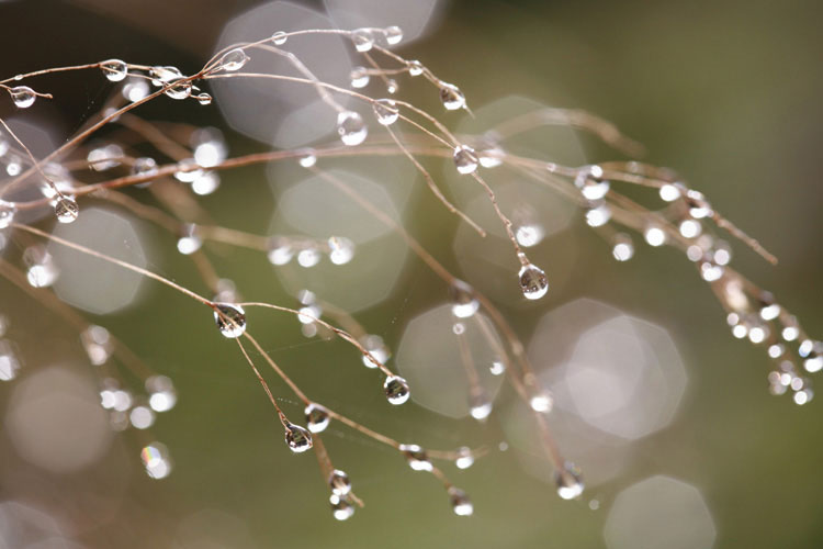 Παραβάν με ψηφιακή εκτύπωση σε βαμβακερό καμβά υψηλής ποιότητας, ειδικό για ψηφιακή εκτύπωση.Ιδανικό για διακόσμηση και σαν διαχωριστικό εσωτερικών χώρων.