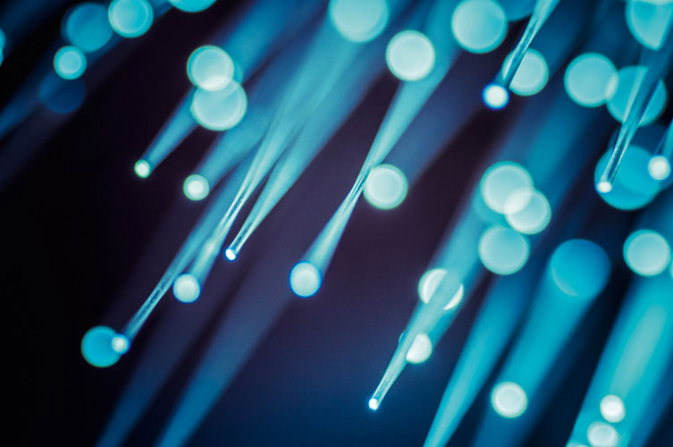 Παραβάν με ψηφιακή εκτύπωση σε βαμβακερό καμβά υψηλής ποιότητας, ειδικό για ψηφιακή εκτύπωση.Ιδανικό για διακόσμηση και σαν διαχωριστικό εσωτερικών χώρων.