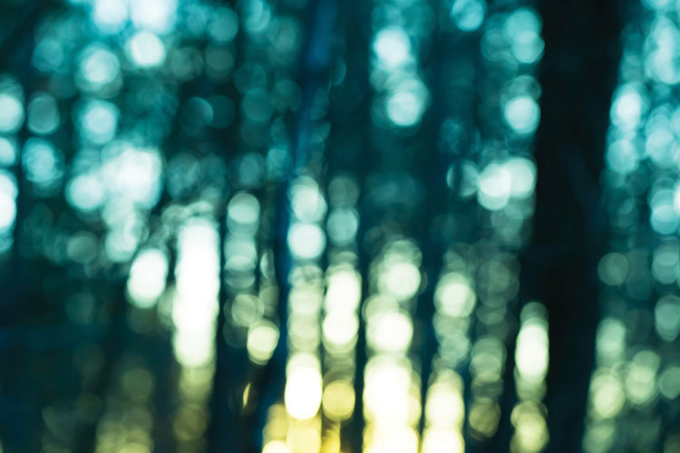 Παραβάν με ψηφιακή εκτύπωση σε βαμβακερό καμβά υψηλής ποιότητας, ειδικό για ψηφιακή εκτύπωση.Ιδανικό για διακόσμηση και σαν διαχωριστικό εσωτερικών χώρων.