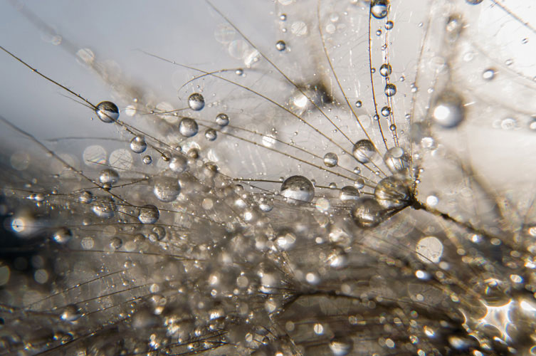 Παραβάν με ψηφιακή εκτύπωση σε βαμβακερό καμβά υψηλής ποιότητας, ειδικό για ψηφιακή εκτύπωση.Ιδανικό για διακόσμηση και σαν διαχωριστικό εσωτερικών χώρων.