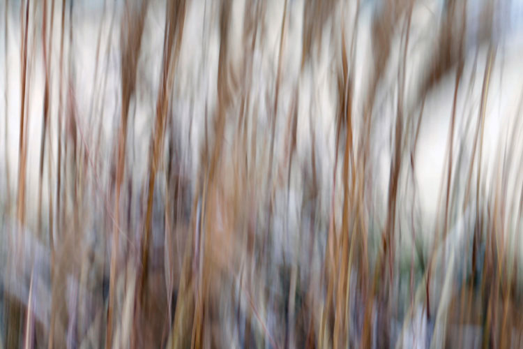 Παραβάν με ψηφιακή εκτύπωση σε βαμβακερό καμβά υψηλής ποιότητας, ειδικό για ψηφιακή εκτύπωση.Ιδανικό για διακόσμηση και σαν διαχωριστικό εσωτερικών χώρων.