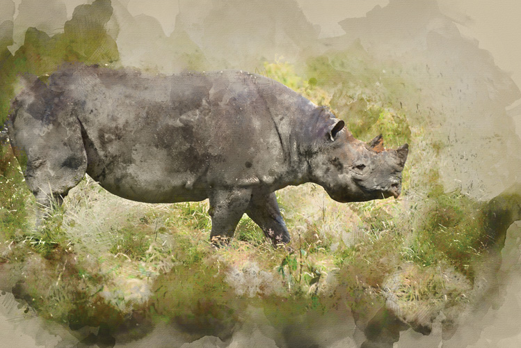 Παραβάν με ψηφιακή εκτύπωση σε βαμβακερό καμβά υψηλής ποιότητας, ειδικό για ψηφιακή εκτύπωση. Ιδανικό για διακόσμηση και σαν διαχωριστικό εσωτερικών χώρων.