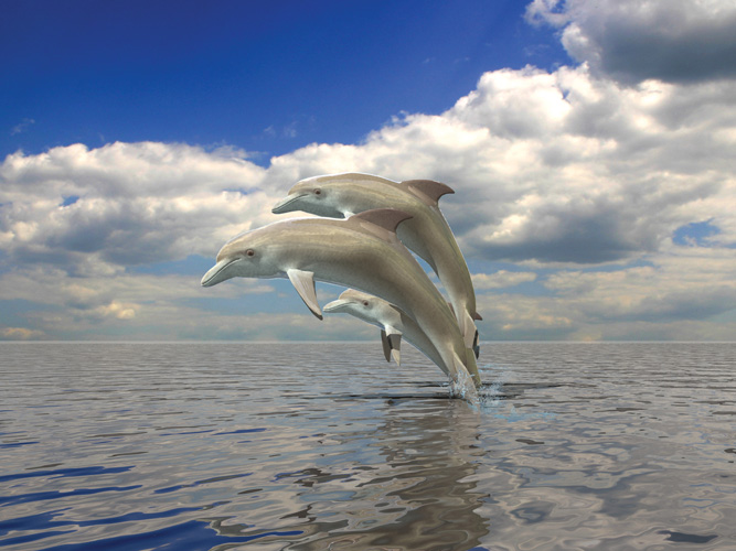 Παραβάν με ψηφιακή εκτύπωση σε βαμβακερό καμβά υψηλής ποιότητας, ειδικό για ψηφιακή εκτύπωση. Ιδανικό για διακόσμηση και σαν διαχωριστικό εσωτερικών χώρων.