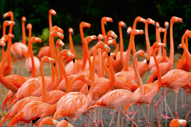 Παραβάν με ψηφιακή εκτύπωση σε βαμβακερό καμβά υψηλής ποιότητας, ειδικό για ψηφιακή εκτύπωση. Ιδανικό για διακόσμηση και σαν διαχωριστικό εσωτερικών χώρων.