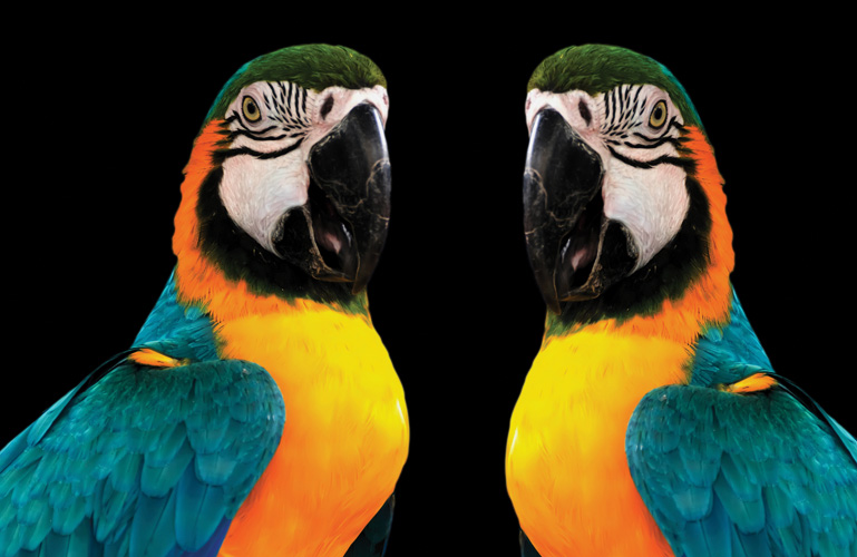 Παραβάν με ψηφιακή εκτύπωση σε βαμβακερό καμβά υψηλής ποιότητας, ειδικό για ψηφιακή εκτύπωση. Ιδανικό για διακόσμηση και σαν διαχωριστικό εσωτερικών χώρων.