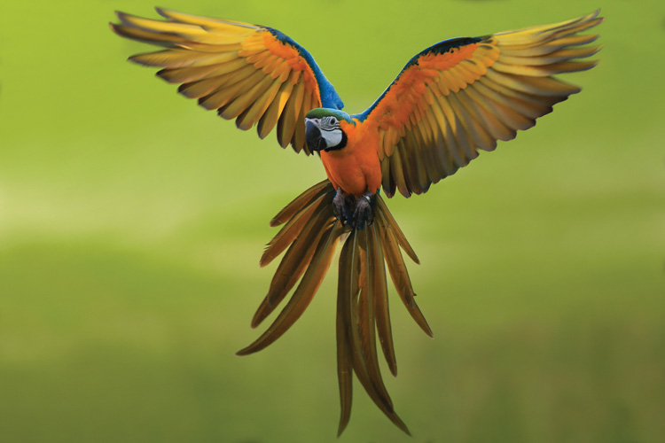 Παραβάν με ψηφιακή εκτύπωση σε βαμβακερό καμβά υψηλής ποιότητας, ειδικό για ψηφιακή εκτύπωση. Ιδανικό για διακόσμηση και σαν διαχωριστικό εσωτερικών χώρων.
