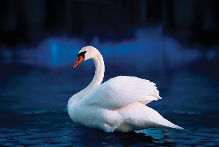 Παραβάν με ψηφιακή εκτύπωση σε βαμβακερό καμβά υψηλής ποιότητας, ειδικό για ψηφιακή εκτύπωση. Ιδανικό για διακόσμηση και σαν διαχωριστικό εσωτερικών χώρων.