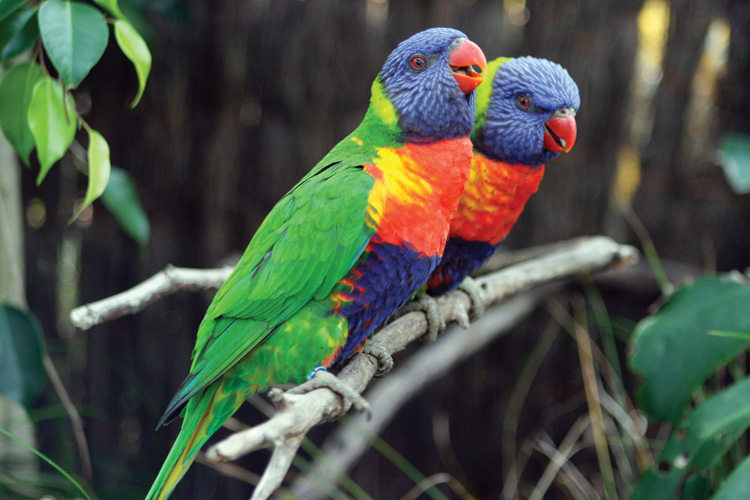 Παραβάν με ψηφιακή εκτύπωση σε βαμβακερό καμβά υψηλής ποιότητας, ειδικό για ψηφιακή εκτύπωση. Ιδανικό για διακόσμηση και σαν διαχωριστικό εσωτερικών χώρων.