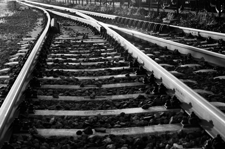 Παραβάν με ψηφιακή εκτύπωση σε βαμβακερό καμβά υψηλής ποιότητας, ειδικό για ψηφιακή εκτύπωση.Ιδανικό για διακόσμηση και σαν διαχωριστικό εσωτερικών χώρων.