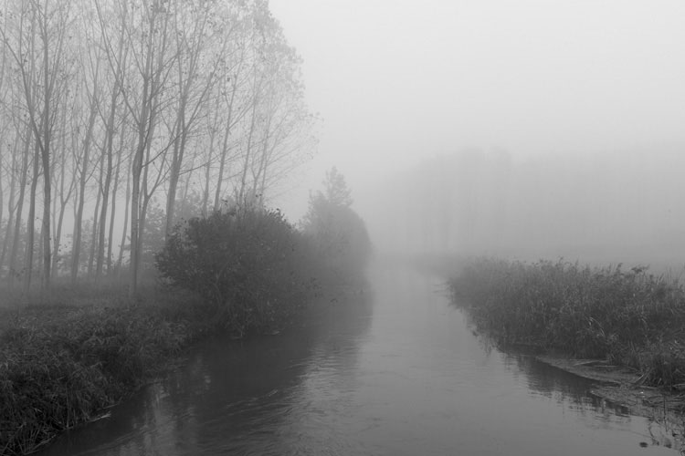 Παραβάν με ψηφιακή εκτύπωση σε βαμβακερό καμβά υψηλής ποιότητας, ειδικό για ψηφιακή εκτύπωση.Ιδανικό για διακόσμηση και σαν διαχωριστικό εσωτερικών χώρων.