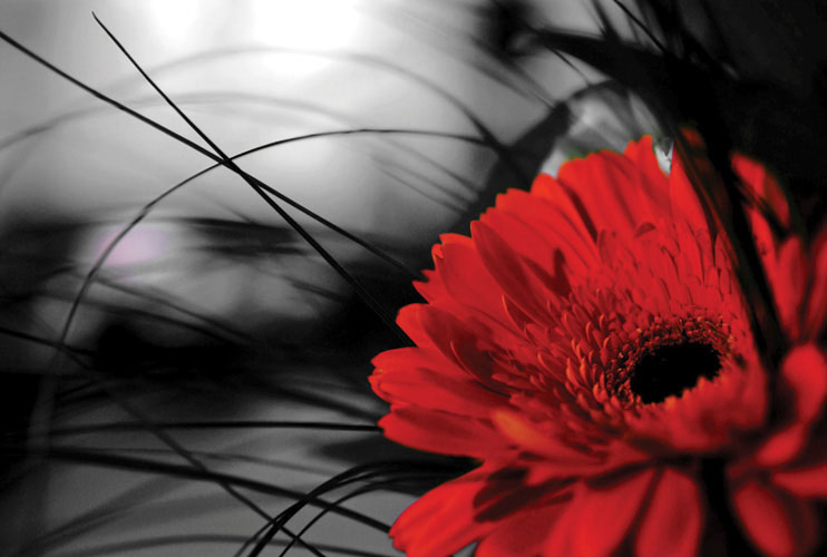 Παραβάν με ψηφιακή εκτύπωση σε βαμβακερό καμβά υψηλής ποιότητας, ειδικό για ψηφιακή εκτύπωση.Ιδανικό για διακόσμηση και σαν διαχωριστικό εσωτερικών χώρων.