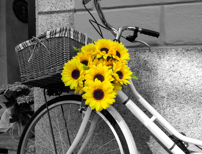 Παραβάν με ψηφιακή εκτύπωση σε βαμβακερό καμβά υψηλής ποιότητας, ειδικό για ψηφιακή εκτύπωση.Ιδανικό για διακόσμηση και σαν διαχωριστικό εσωτερικών χώρων.