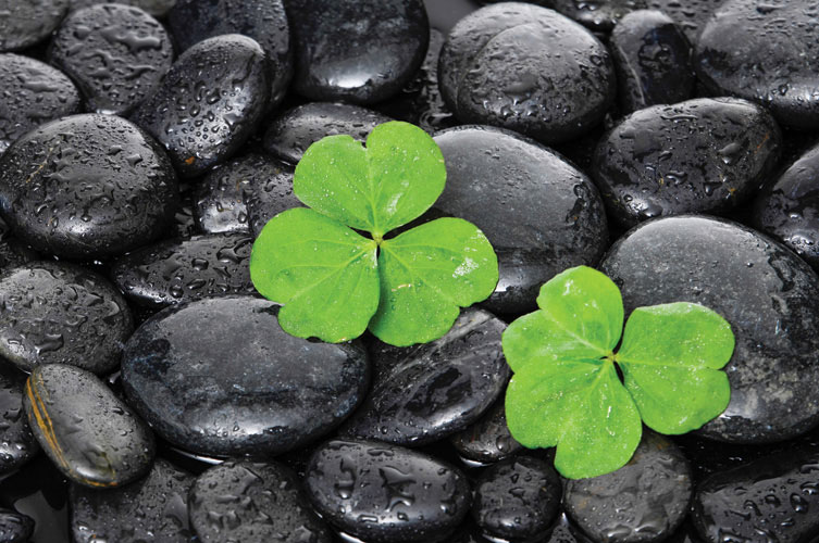 Παραβάν με ψηφιακή εκτύπωση σε βαμβακερό καμβά υψηλής ποιότητας, ειδικό για ψηφιακή εκτύπωση.Ιδανικό για διακόσμηση και σαν διαχωριστικό εσωτερικών χώρων.