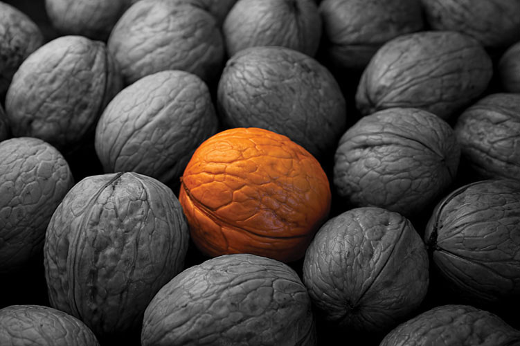 Παραβάν με ψηφιακή εκτύπωση σε βαμβακερό καμβά υψηλής ποιότητας, ειδικό για ψηφιακή εκτύπωση.Ιδανικό για διακόσμηση και σαν διαχωριστικό εσωτερικών χώρων.