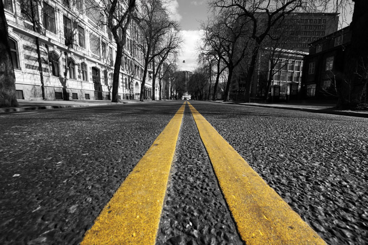 Παραβάν με ψηφιακή εκτύπωση σε βαμβακερό καμβά υψηλής ποιότητας, ειδικό για ψηφιακή εκτύπωση.Ιδανικό για διακόσμηση και σαν διαχωριστικό εσωτερικών χώρων.