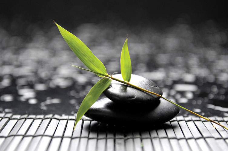 Παραβάν με ψηφιακή εκτύπωση σε βαμβακερό καμβά υψηλής ποιότητας, ειδικό για ψηφιακή εκτύπωση.Ιδανικό για διακόσμηση και σαν διαχωριστικό εσωτερικών χώρων.