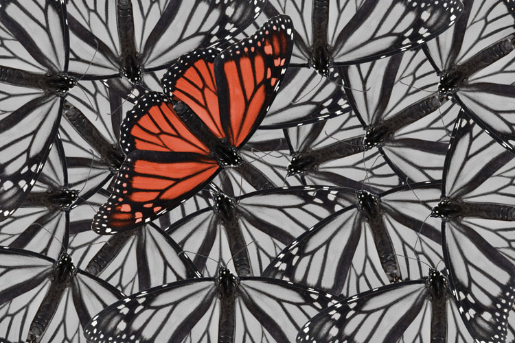 Παραβάν με ψηφιακή εκτύπωση σε βαμβακερό καμβά υψηλής ποιότητας, ειδικό για ψηφιακή εκτύπωση.Ιδανικό για διακόσμηση και σαν διαχωριστικό εσωτερικών χώρων.