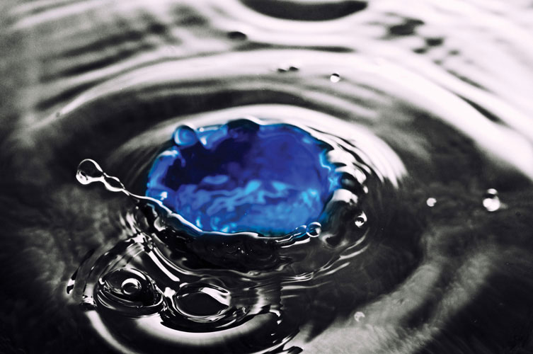 Παραβάν με ψηφιακή εκτύπωση σε βαμβακερό καμβά υψηλής ποιότητας, ειδικό για ψηφιακή εκτύπωση.Ιδανικό για διακόσμηση και σαν διαχωριστικό εσωτερικών χώρων.