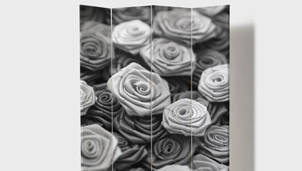 Ασπρόμαυρες εικόνες