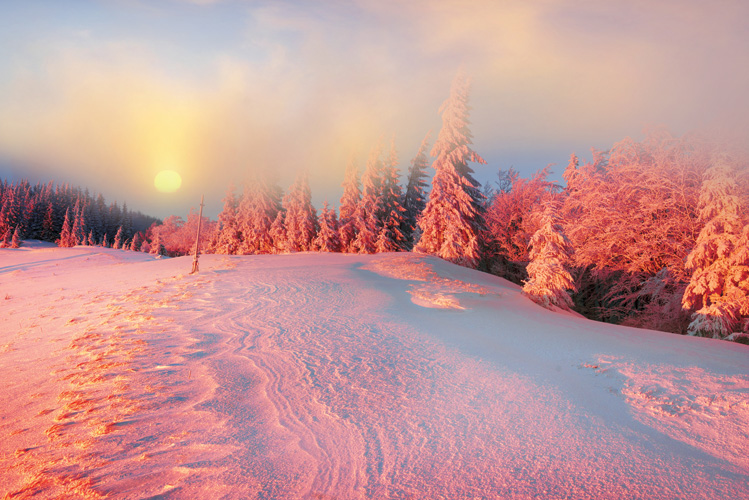 Παραβάν με ψηφιακή εκτύπωση σε βαμβακερό καμβά υψηλής ποιότητας, ειδικό για ψηφιακή εκτύπωση. Ιδανικό για διακόσμηση και σαν διαχωριστικό εσωτερικών χώρων.