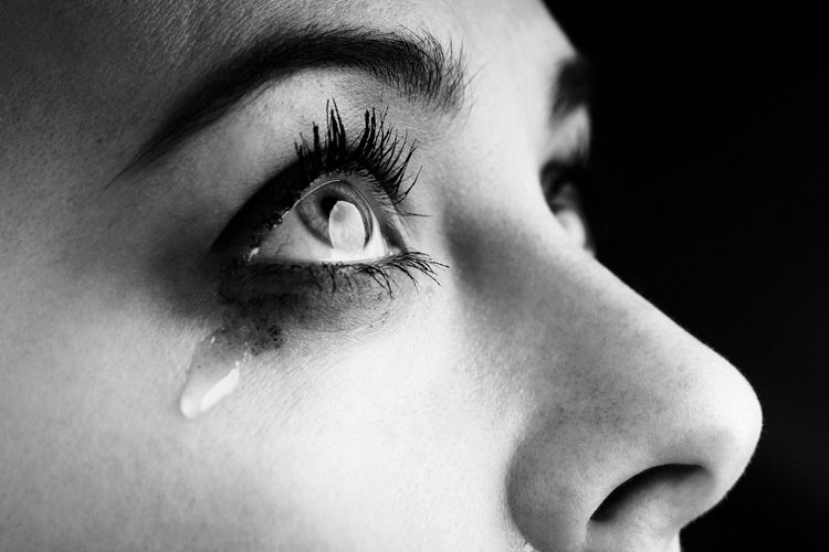 Παραβάν με ψηφιακή εκτύπωση σε βαμβακερό καμβά υψηλής ποιότητας, ειδικό για ψηφιακή εκτύπωση. Ιδανικό για διακόσμηση και σαν διαχωριστικό εσωτερικών χώρων.