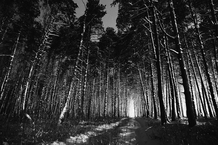 Παραβάν με ψηφιακή εκτύπωση σε βαμβακερό καμβά υψηλής ποιότητας, ειδικό για ψηφιακή εκτύπωση. Ιδανικό για διακόσμηση και σαν διαχωριστικό εσωτερικών χώρων.