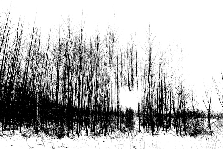 Παραβάν με ψηφιακή εκτύπωση σε βαμβακερό καμβά υψηλής ποιότητας, ειδικό για ψηφιακή εκτύπωση. Ιδανικό για διακόσμηση και σαν διαχωριστικό εσωτερικών χώρων.