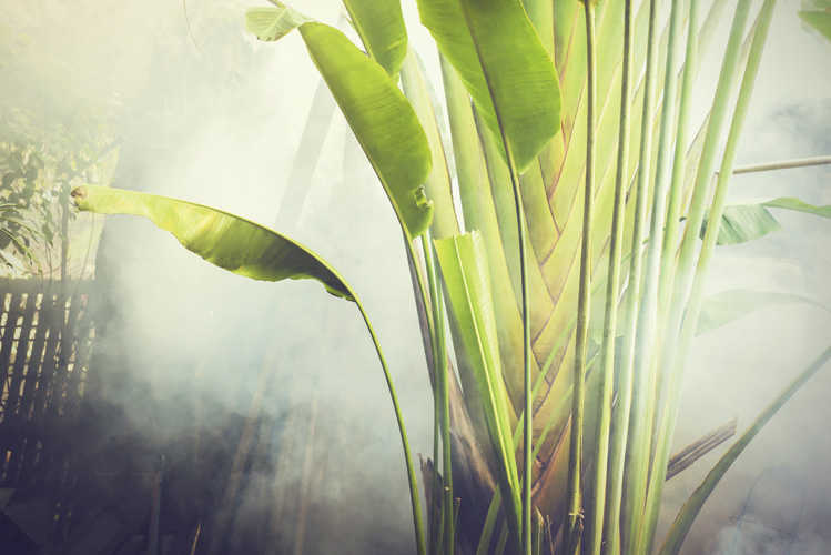 Παραβάν με ψηφιακή εκτύπωση σε βαμβακερό καμβά υψηλής ποιότητας, ειδικό για ψηφιακή εκτύπωση. Ιδανικό για διακόσμηση και σαν διαχωριστικό εσωτερικών χώρων.