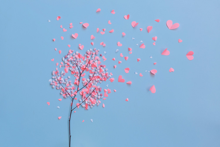 Παραβάν με ψηφιακή εκτύπωση σε βαμβακερό καμβά υψηλής ποιότητας, ειδικό για ψηφιακή εκτύπωση. Ιδανικό για διακόσμηση και σαν διαχωριστικό εσωτερικών χώρων.