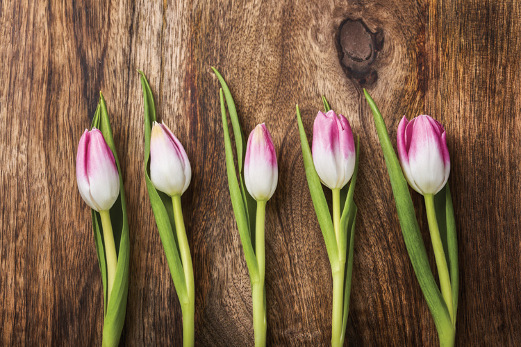 Παραβάν με ψηφιακή εκτύπωση σε βαμβακερό καμβά υψηλής ποιότητας, ειδικό για ψηφιακή εκτύπωση. Ιδανικό για διακόσμηση και σαν διαχωριστικό εσωτερικών χώρων.