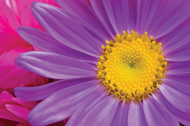 Παραβάν με ψηφιακή εκτύπωση σε βαμβακερό καμβά υψηλής ποιότητας, ειδικό για ψηφιακή εκτύπωση. Ιδανικό για διακόσμηση και σαν διαχωριστικό εσωτερικών χώρων.