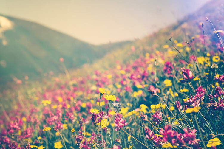 Παραβάν με ψηφιακή εκτύπωση σε βαμβακερό καμβά υψηλής ποιότητας, ειδικό για ψηφιακή εκτύπωση. Ιδανικό για διακόσμηση και σαν διαχωριστικό εσωτερικών χώρων.