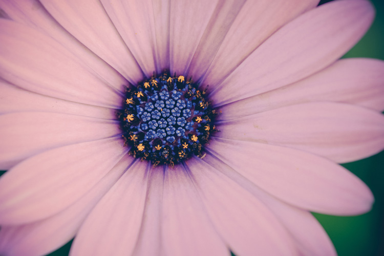 Παραβάν με ψηφιακή εκτύπωση σε βαμβακερό καμβά υψηλής ποιότητας, ειδικό για ψηφιακή εκτύπωση. Ιδανικό για διακόσμηση και σαν διαχωριστικό εσωτερικών χώρων.