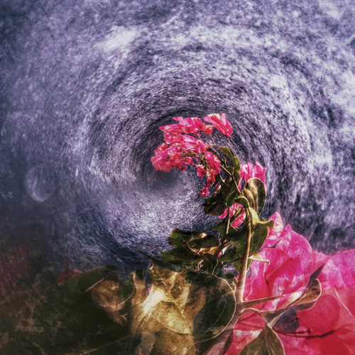 Παραβάν με ψηφιακή εκτύπωση σε βαμβακερό καμβά υψηλής ποιότητας, ειδικό για ψηφιακή εκτύπωση. Ιδανικό για διακόσμηση και σαν διαχωριστικό εσωτερικών χώρων.