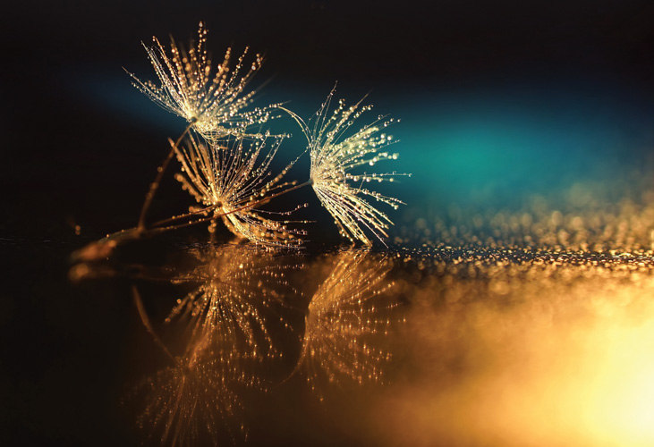 Παραβάν με ψηφιακή εκτύπωση σε βαμβακερό καμβά υψηλής ποιότητας, ειδικό για ψηφιακή εκτύπωση. Ιδανικό για διακόσμηση και σαν διαχωριστικό εσωτερικών χώρων.