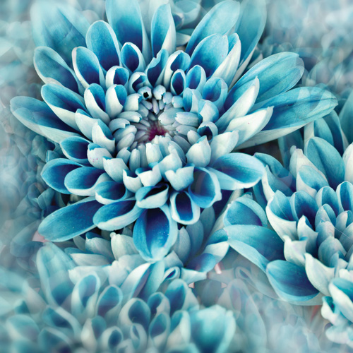 Παραβάν με ψηφιακή εκτύπωση σε βαμβακερό καμβά υψηλής ποιότητας, ειδικό για ψηφιακή εκτύπωση. Ιδανικό για διακόσμηση και σαν διαχωριστικό εσωτερικών χώρων.