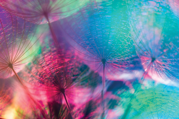 Παραβάν με ψηφιακή εκτύπωση σε βαμβακερό καμβά υψηλής ποιότητας, ειδικό για ψηφιακή εκτύπωση. Ιδανικό για διακόσμηση και σαν διαχωριστικό εσωτερικών χώρων.