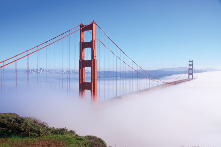 Παραβάν με ψηφιακή εκτύπωση σε βαμβακερό καμβά υψηλής ποιότητας, ειδικό για ψηφιακή εκτύπωση.Ιδανικό για διακόσμηση και σαν διαχωριστικό εσωτερικών χώρων.