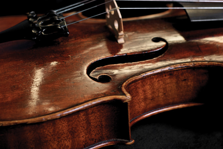 Παραβάν με ψηφιακή εκτύπωση σε βαμβακερό καμβά υψηλής ποιότητας, ειδικό για ψηφιακή εκτύπωση. Ιδανικό για διακόσμηση και σαν διαχωριστικό εσωτερικών χώρων.